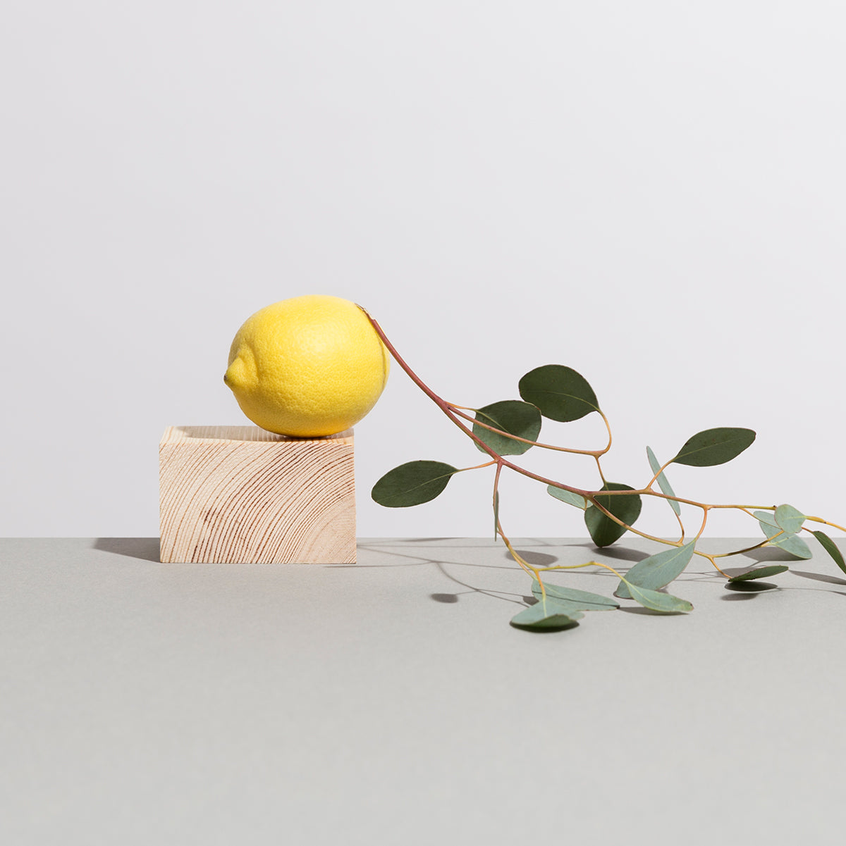 salt soap ball eucalyptus-lemon