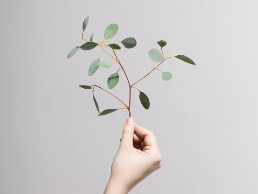 年末年始の商品発送についてのお知らせ