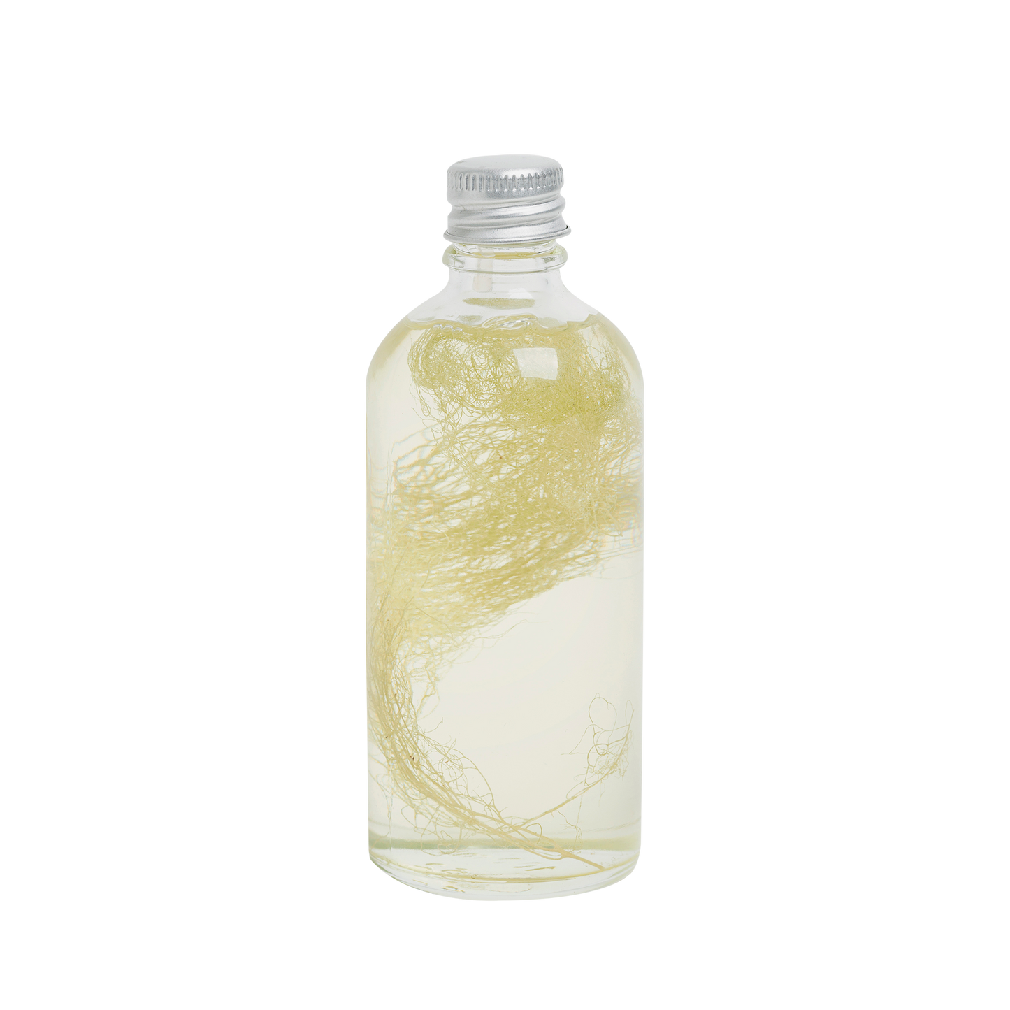 lichen bark sense oil